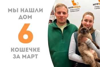Нежнейшая Фума уезжает к Филимону!