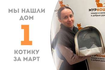 Гарсон становится первым весенним счастливчиком!