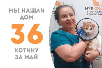 Гаврик уезжает домой спустя два месяца!