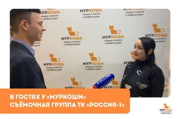 Гости "Муркоши". Съёмочная группа ТК «Россия-1»