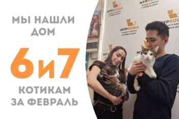 Волшебная парочка Хариус и Фариус дома!