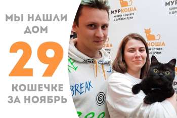 Затейливая Кимберли нашла дом!