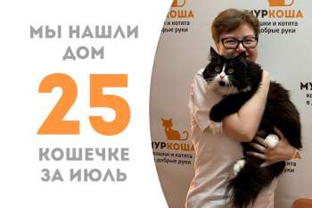 Прекрасная Кисадилья стала домашней!
