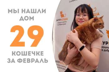 Золотая Кисулькина обрела свою семью!