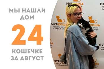 Несравненная Кварта отправилась домой!