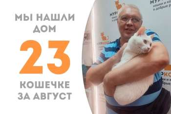 Белоснежка Лансель снова домашняя любимица!
