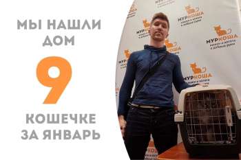 Лайтнинг снова обретает дом!