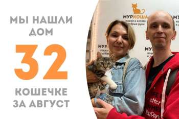 Летка нашла свою семью всего за два месяца!