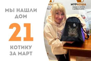 Литэй встретил свою добрую хозяйку!