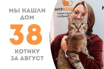 Сладусечка Мафин нашел свою семью!