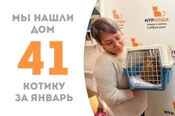Макинтош уехал домой меньше чем за два месяца!