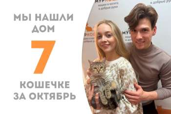 Любознаша Мануляша обрела дом за два месяца!