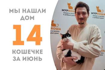 Мартуся обретает дом!