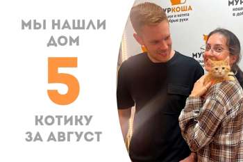 Маячок становится домашним меньше, чем за один месяц!