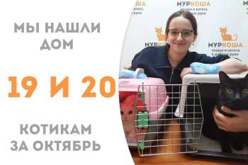 Кошечка Милкуся, прихватив с собой котика Галилео, обрела дом всего за 2 недели!