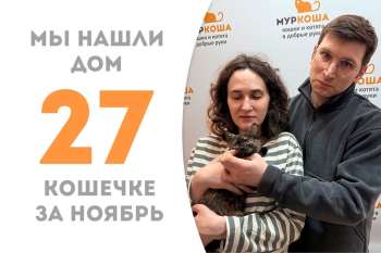 Лапочка Мияби обрела дом за полторы недели!