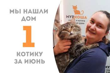 Прекрасный Моби — наш первый летний счастливчик!