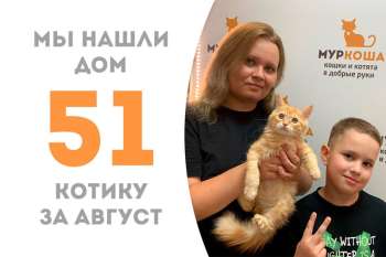 Рыжик Мультяша становится домашним спустя 2 месяца!
