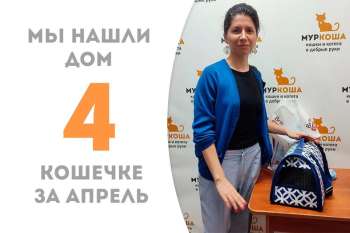 Прекрасная Мушка уезжает домой!