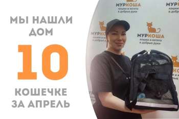 Нармин обзавелась семьёй, где уже живут два наших чудесных выпускника – Мистер Блэк и Братислав!