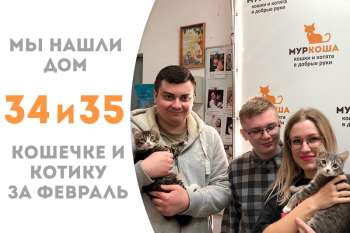 Всего за 2 недели нашлась семья Нерины и Пиериса!