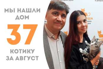 Немногим более месяца понадобилось Нэшу, чтобы найти свой дом!