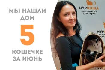 Опушка засобиралась домой спустя пару месяцев!