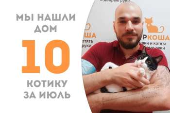 Котик Пис встретил своего человека!