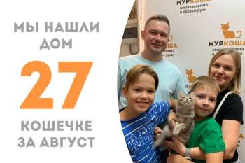 Звёздочка Проксима с космической скоростью нашла дом — меньше чем за месяц!