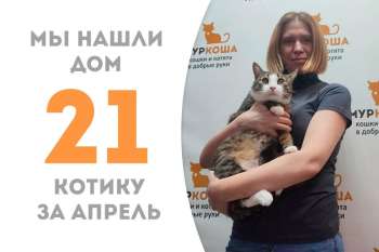 Очаровательный Пруф попрощался с приютом!