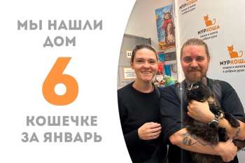 Родди становится счастливицей!