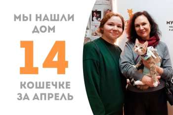 Прелестная Сангина становится счастливицей!