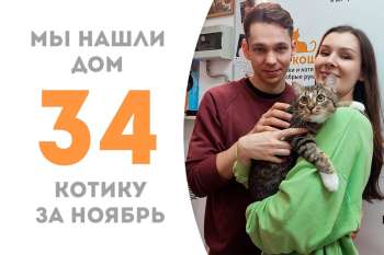 Дружелюбный Сарго обрел дом!