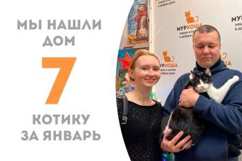 Шахмат одержал победу в своей главной партии!