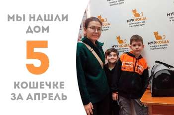 За Шанталь приехала замечательная семья!