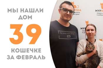 Милая кошечка Сладость дома и счастлива всем на радость!
