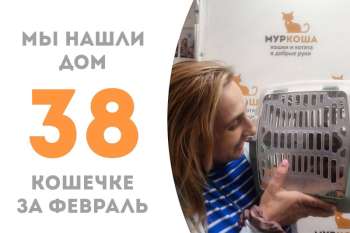 Полосатушка Соната уехала развивать свой музыкальный талант дома!