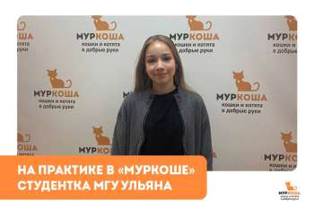 Практика в "Муркоше". Ульяна, будущий журналист из МГУ