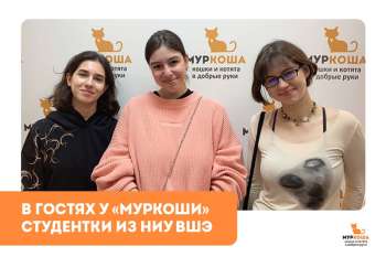 Практика в "Муркоше". Студентки из НИУ ВШЭ, факультета Школы иностранных языков