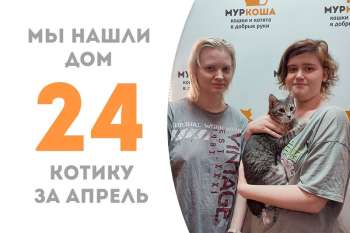 Спустя 2 месяца милейший Тади отправляется жить к нашему выпускнику Рэббиту!