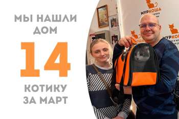 Тартар уехал вкушать все прелести домашней жизни!