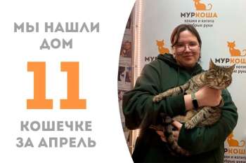 Трюфелька встретила своего человека!