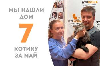 Тугур вновь обретает дом!