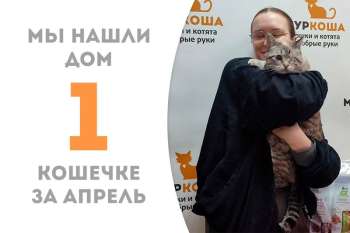 Валькирия становится первоапрельской, самой настоящей домашней счастливицей!
