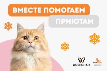 Благотворительная акция «Добролап»