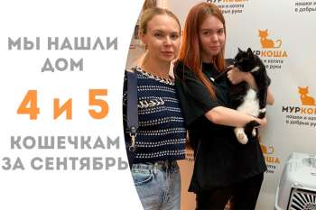 Двойное счастье — Яла и Миднайт стали домашними!