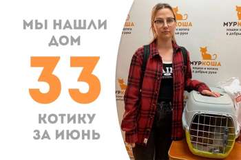 Ёршик встречает свою добрую хозяйку!