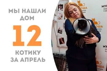 Йосеф помахал нам лапкой спустя три месяца в приюте!
