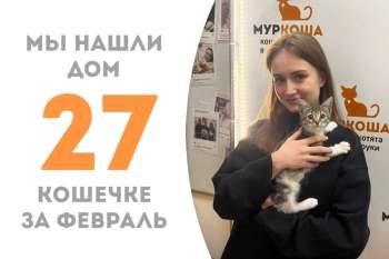 Зейтин провела у нас всего месяц с небольшим!