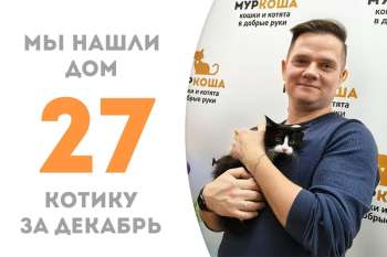 Чудесный малыш Жорик стал домашним всего за два месяца!